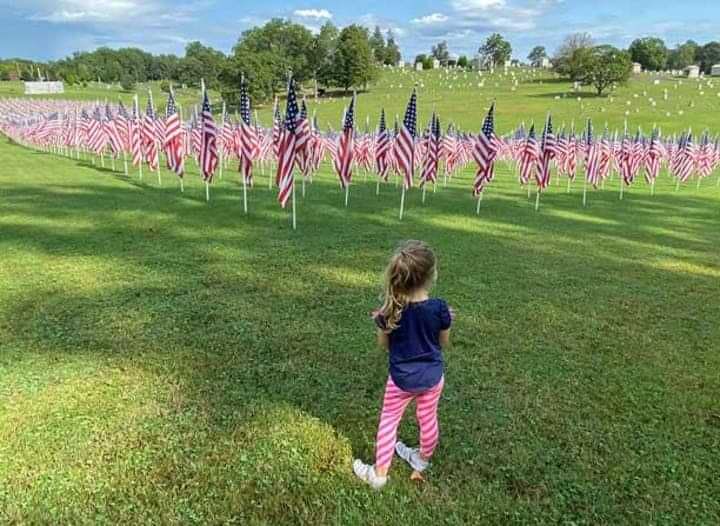 Girl looking at field of American flags.